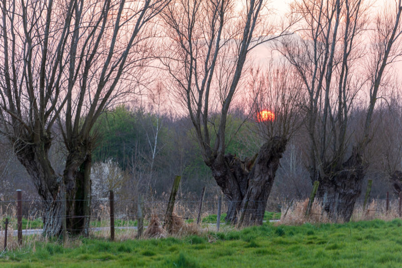 Paysage de la Pévèle